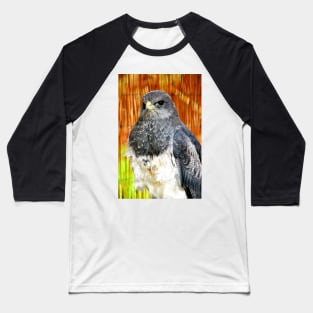 Chilean Eagle Black Chested Buzzard Baseball T-Shirt